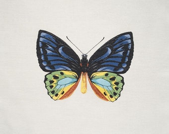 Square by Design - Rare hard to Blue Butterfly