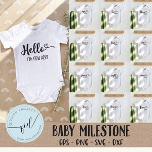 13 Baby Milestone SVG, Monthly Milestone SVG, Hello World SVG, Clipart Digital Download dxf, svg, eps, png