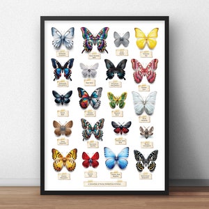 Social Butterflies - Stampa artistica autografata divertente e umoristica - Idea regalo per personalità, sociologia, psicologia, terapeuta!