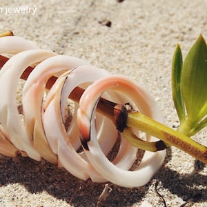 Shell Rings