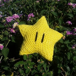 Crocheted Super Mario Bros Super Star - Cute Bowsette / Peach Prop