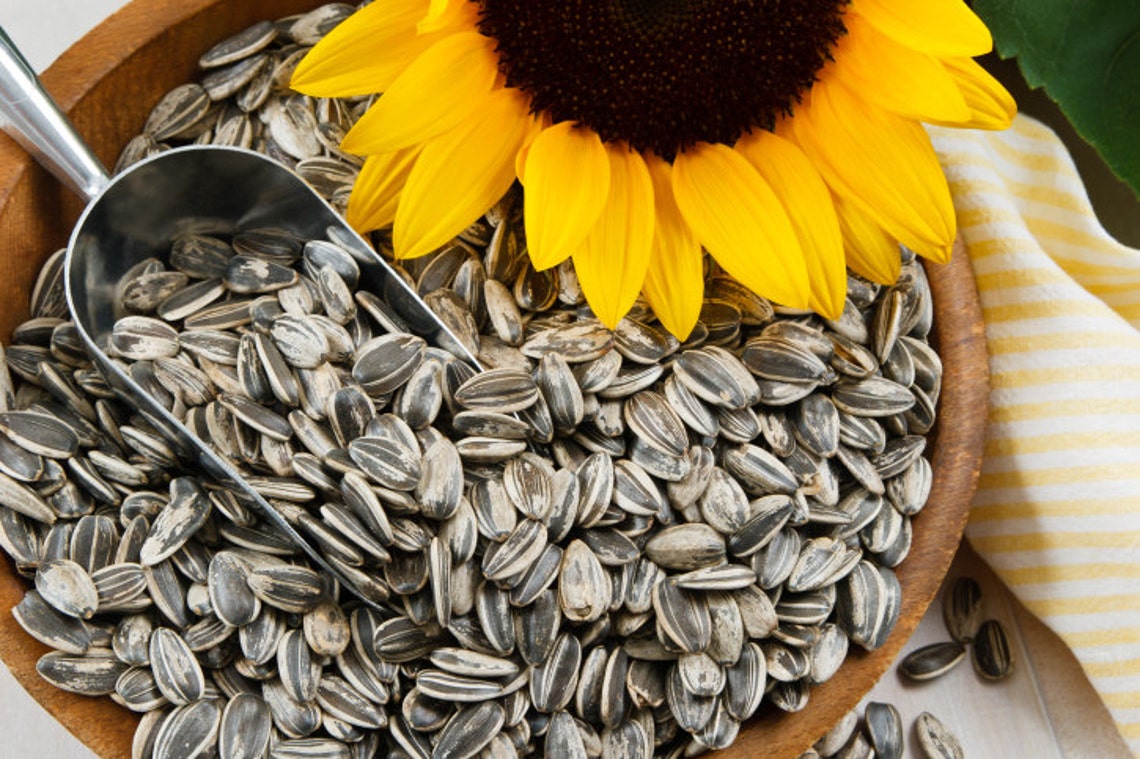 SUPER SNACK MIX Sunflower Seeds for Your Garden / Grown - Etsy