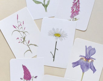 9 postcards with flowers, daisy, iris, foxglove, knotweed, delphinium, butterfly bush, bird's-foot trefoil, lupine, cornflower, Mother's Day