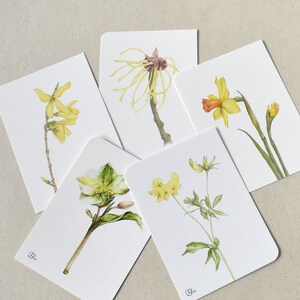 5 gelbe-grüne Blüten Postkarten im Set, Din A6 große Aquarelle als Kunstkarten mit Osterglocke, Forsythie, Zaubernuss, Schneerose & Hornklee