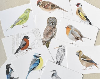 Postkartenset Vögel, 11 Vogelillustrationen, gezeichnete Vögel, Blaumeise, Rotkehlchen, Dompfaff, Reiher, Elster, Kauz, Spatz...