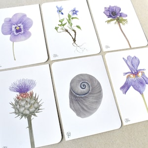 6 zarte Pflanzen- & Tieraquarelle als Postkarten in Din A6 gedruckt, Grußkarten Set mit Blumen wie Viola, Anemone, Artischocke, Irisblüte...