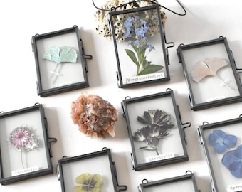 Real flowers in a small frame, forget-me-nots, star umbels, hydrangeas, dried flowers, herbarium wall decorations, small gifts, pressed flowers