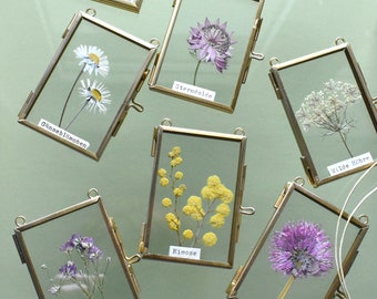 Glass frames with real plants such as star anise, rose or mimosa are a special room decoration