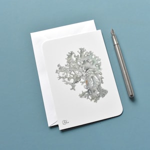 pastellfarbene Blasenflechte als Postkarte, auch als kleines Minibild an der Wand. oder als etwas andere Kondolenzkarte geeignet