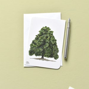 Kastanienbaum Postkarte in grün-braun, Kunstkarte mit Kastanie, illustrierte kleines Baumbild, Christine Wiegelmann, Geschenkkarte Aboretum