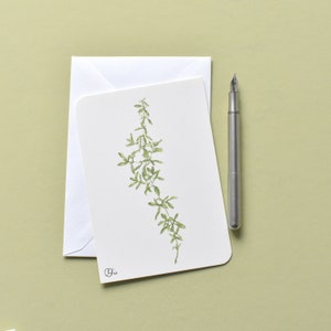 schlichter Thmianzweig Postkarte zum Kräutergartenfest grün-weiß, Din A6 kleines Küchenwandbild Gewürze, Gutscheinkarte zur Essenseinladung.