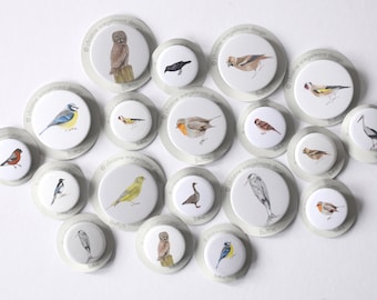 Button with bird, garden birds with pin, accessories with robins, blue tits, greenfinches, brooches with songbirds