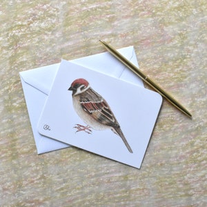 schlichte Feldsperling Postkarte in beige-braun, Din A6 kleine Bild mit Gartenvogel als kleine Wanddekoration, Spatz für Ornithologen