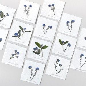 kleine Bilder mit Vergissmeinnicht, Herbarium Bilder, Kärtchen, getrocknete Pflanzen als Lesezeichen, Herbarium, Anhänger, Tischkärtchen