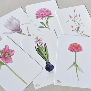 rosa-pinke Blütenpostkarten 6er-Set, fröhliche Blumenillustrationen als Karten oder kleine Wandbilder, pinke Pfingstrose, Magnolie, Zinnie