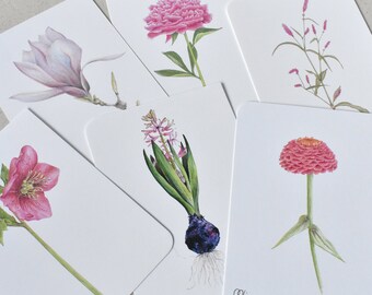 6 flower postcards in pink, A6, spring motifs, hyacinth, magnolia, peony, zinnia, hellebore, helleborus, knotweed