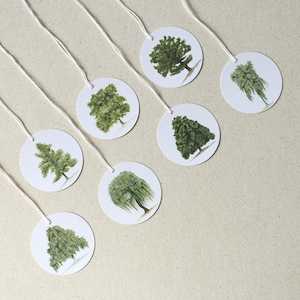 7 Geschenkanhänger mit Bäumen aus Recycling-Papier, Ginkgo, Weide, Kastanie, Birke, Bäume aus Papier, Dekoanhänger, Wichtelgeschenke, grün