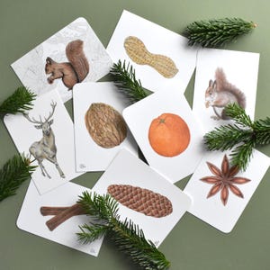 9 schlichte Waldmotive Postkarten in beige-braun mit Pflanzen und Tieren. Eichhörnchen, Hirsch, Walnuss, Sternanis, Erdnuss, Zimt, Orange
