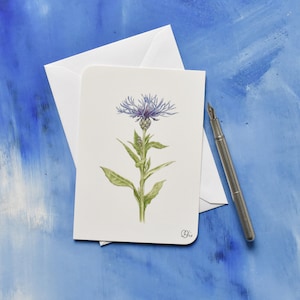 Flockenblumen Postkarte, blau, lila, Blumenmotiv,Vergissmeinnicht,Rittersporn, Muscari, gezeichnete Blume, Sommerkarte, Blüten, Gartenmotive