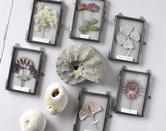 Glass frame with real plants, lucky clover, rose, ginkgo, star anise, dried flowers as herbarium wall decoration, small gifts, pressed flowers