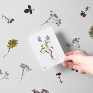 Duftveilchenpostkarte Din A6 lila, Veilchenkarte als Frühlingskarte, Karte zum Namenstag