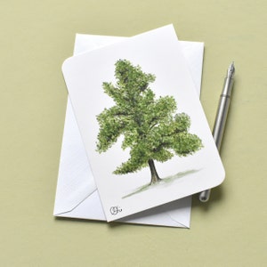 Postkarte mit Ginkgo, Baum als Aquarellzeichnung, Kunstkarte mit Ginkgo, illustrierte Karten mit Baum, Christine Wiegelmann, Aboretum, grün