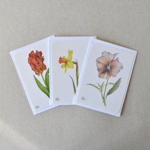 3 Duft-Karten mit Blüten, A6, Frühling, Tulpe, Narzisse, Stiefmütterchen, Geschenke für Pflanzenliebhaber/Innen, gelb, orange,