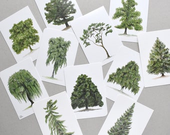 11 trees as postcards, forest, fir tree, willow, birch, chestnut, oak, deciduous trees and coniferous trees as greeting cards or pictures on the wall