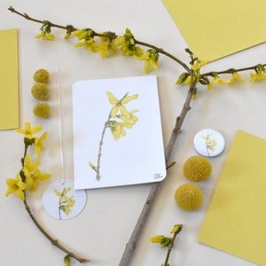 Österliche Forsythien Postkarte in gelb-braun, wissenschaftliche Illustrationen Din A6,  frühlingshaftes Blüten Wandbild, Button, Magnet