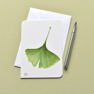Klassische Ginkgoblatt Postkarte in grün-weiß, Blatt vom Jahrtausendbaum Din A6, schlichte Ginkgokarte zum Jubiläum, Baum des Lebens maigrün
