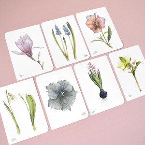 Frühlingshafte Blütenpostkarten im Set, 7 Kunstkarten mit Blumen, Pastellfarbene Papeterie mit Blumenaquarellen, Schneeglöckchen, Muscari..