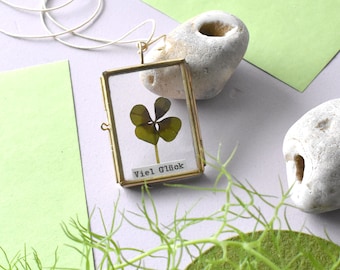 Real clover leaf, good luck, lucky clover, lucky charm in frame, brass, glass frame, real plants, clover leaves, small gifts
