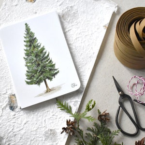 klassische Fichten Postkarte grün-braun, schlichte Weihnachtsbaum Grußkarte, kleines gedrucktes Baumaquarell Wanddeko, für Förster & Jägerin
