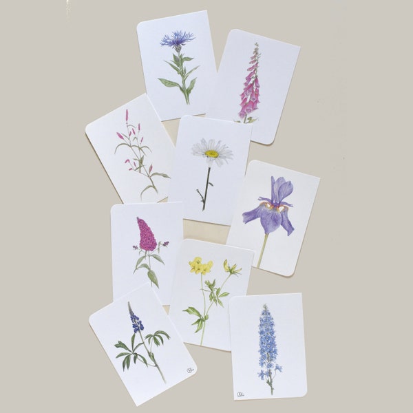 9 Postkarten mit Blüten, Margerite, Iris, Fingerhut, Knöterich, Rittersporn, Schmetterlingsstrauch, Hornklee, Lupine, Flockenblume,Muttertag