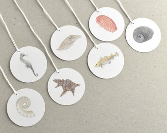 7 sea gift tags, Mediterranean motifs on paper, drawn shells, seahorses, snails, fish, tags, recycled paper