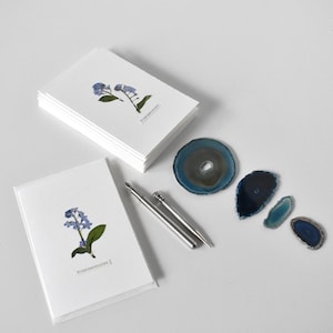 Grusskarte echte Vergissmeinnicht, getrocknete blaue Blüten, Trockenblumen Kunstkarten mit blauen Blümchen, Karte zur Erinnerung, Myosotis