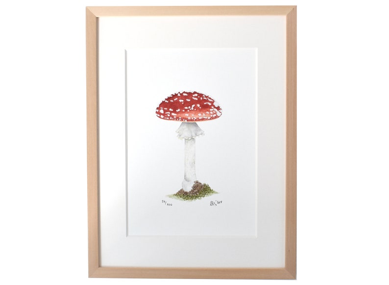 Din A4 Kunstdruck Fliegenpilz – Herbst-Motiv, Aquarell, Ohne Rahmen, 21x29,7 Cm