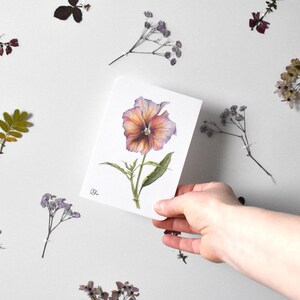 Stiefmütterchenpostkarte im Frühling, Papageientulpe, Blumen Kunstkarten, illustrierte Postkarte, Aquarell drucken Postkarten, botanische