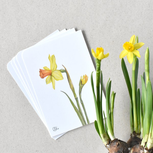 Narzisse auf Postkarte, Osterkarte, Frühlingsmotiv in gelb, gezeichnete Narzisse, Osterkarten mit Blüten, Osterglocke