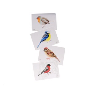 Schlichte Vogelpostkarten im 4-Set, Gartenvögel Kunstkarten Din A6, kleine Vogelbilder als Wanddeko, Rotkehlchen, Spatz, Blaumeise, Gimpel