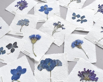 small, handmade flower pictures, with hydrangea, cornflower, scabious, herbarium, dried flowers, bookmarks, pendants, place cards, paper