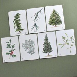 7 schlichte Naturpostkarten in Grüntönen mit Pflanzen wie Weihnachtsbaum, Mistel, Ilexzweig, Lärche, Flechte, Fichte, Karten für Förster