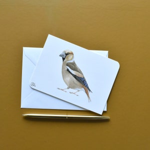 Kernbeißer als Postkarte in beige-braun, Din A6 Bild mit Gartenvogel, Singvogel als Grußkarte oder kleine Wanddekoration, Ornithologenkarte