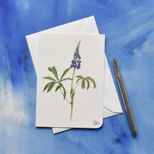 Postkarte mit Lupine, Blütenmotive, Blume, gezeichnete Aquarelle, Pflanzenzeichnung, Christine Wiegelmann zeichnet, Lupine