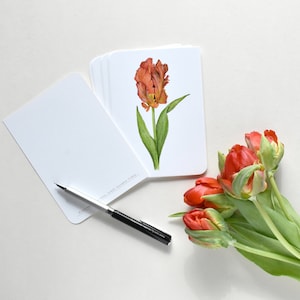 Frühlingshafte Tulpen Postkarte in orange, DIN A6 große Papageientulpe als kleine österliche Wanddekoration oder Lesezeichen in einem Buch