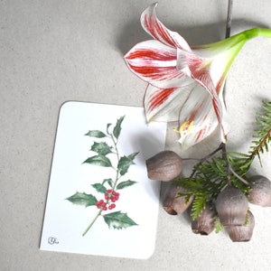 klassische Ilexzweig Postkarte in rot-grün, Stechpalmenmotiv als Weihnachtskarte oder kleines Wandbild für deine Weihnachtsdekoration