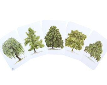 Postcard set deciduous trees, botanical art cards, trees in watercolor, aboretum, tree drawings, willow, ginkgo, chestnut, plane tree, beech, forest