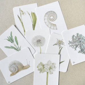 8 Flora & Fauna Postkarten in zarten Weiß-Grüntönen, Aquarell vom Schneeglöckchen, Posthörnchen, Pusteblumen, Salbei, Edelweiß, Schnecke...