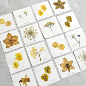 kleine handgefertigte Blütenbilder, Herbarium,Gänseblümchen, Aurikeln, Viola,getrocknete Blumen,Lesezeichen,Anhänger,Tischkärtchen,Papier