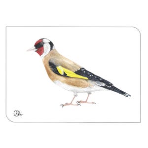 Stieglitz Postkarte in Din A6, schlichte Distelfink Kunstkarte, Singvogel Illustration als kleines Wandbild, Geschenkkarte für Ornithologen
